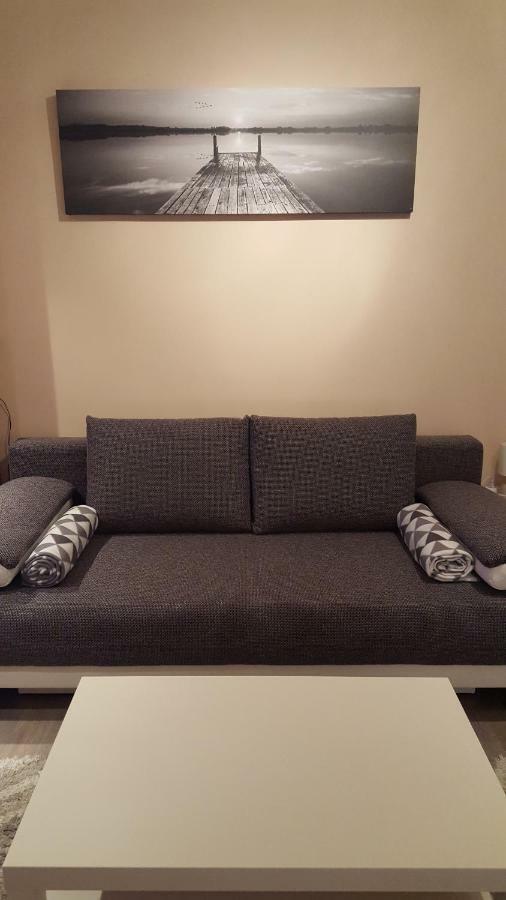 Liget Apartment, Terrace, Free Parking, Ac 布达佩斯 外观 照片