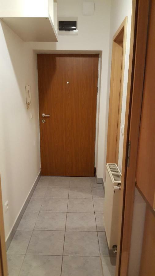 Liget Apartment, Terrace, Free Parking, Ac 布达佩斯 外观 照片