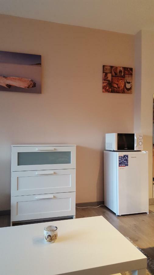 Liget Apartment, Terrace, Free Parking, Ac 布达佩斯 外观 照片