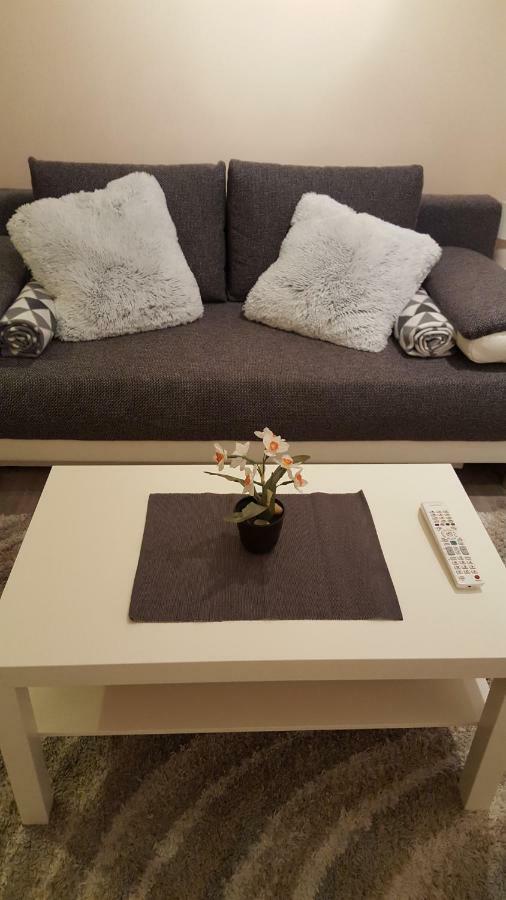 Liget Apartment, Terrace, Free Parking, Ac 布达佩斯 外观 照片