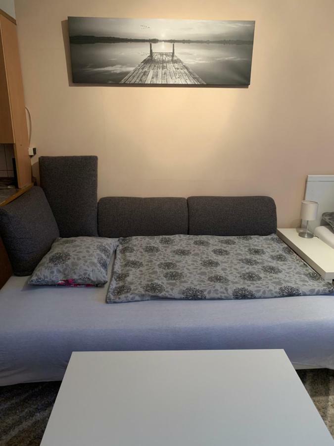 Liget Apartment, Terrace, Free Parking, Ac 布达佩斯 外观 照片